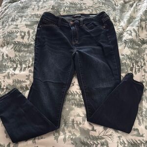 Judy Blue Skinny Jeans in Blue with Modern Silhouette